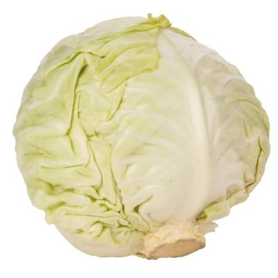 Organic Cabbage White