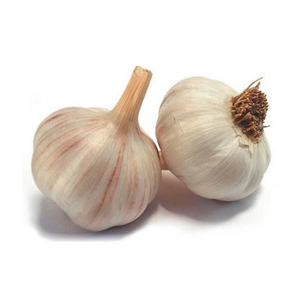 Organic Garlic