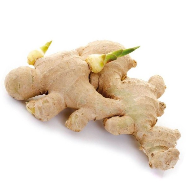Organic Ginger