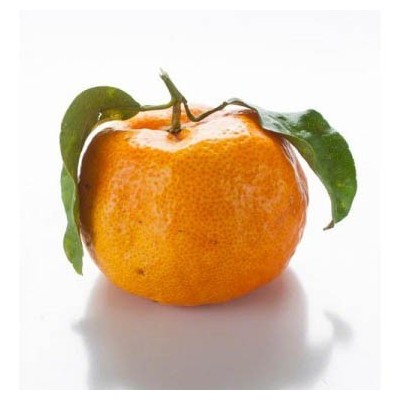 Organic Mandarins