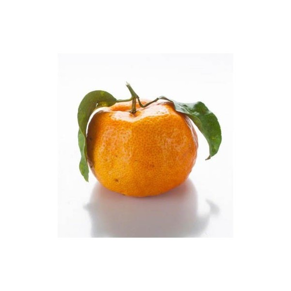 Organic Mandarins