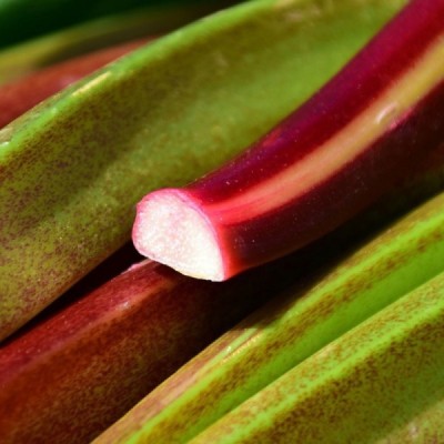Organic Rhubarb