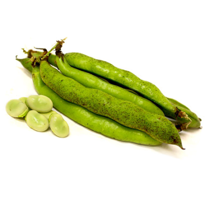 Organic Broad Beans