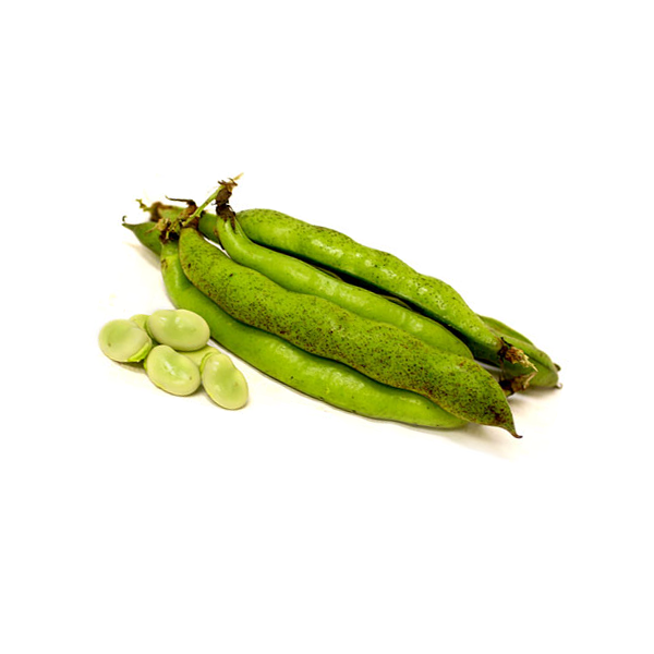 Organic Broad Beans