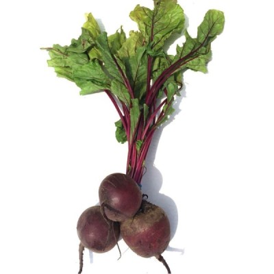 Organic Beetroot
