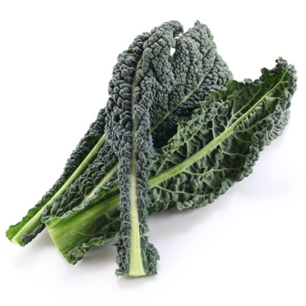 Organic Cavelo Nero (Russian Kale)
