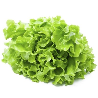Organic Lettuce