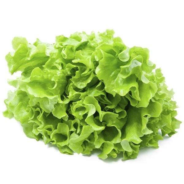 Organic Lettuce