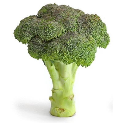 Organic Broccoli