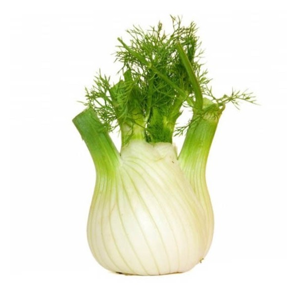 Organic Fennel