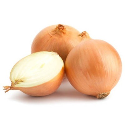 Organic Onions White
