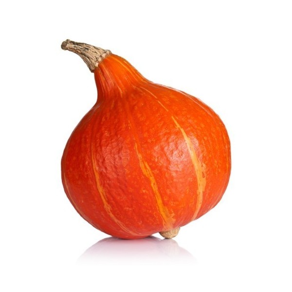 Organic Pumpkin Hokkaido
