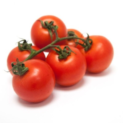 Organic Tomatoes Vine